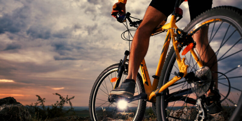 Race Across Austria 2025: Das größte Ultra-Radrennen des Landes lockt Rekordstarter nach Linz